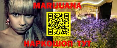мяу мяу мука Лесосибирск
