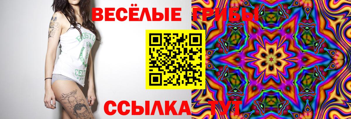 Псилоцибиновые грибы MAGIC MUSHROOMS  дарнет шоп  Кашира  Вход с VPN 