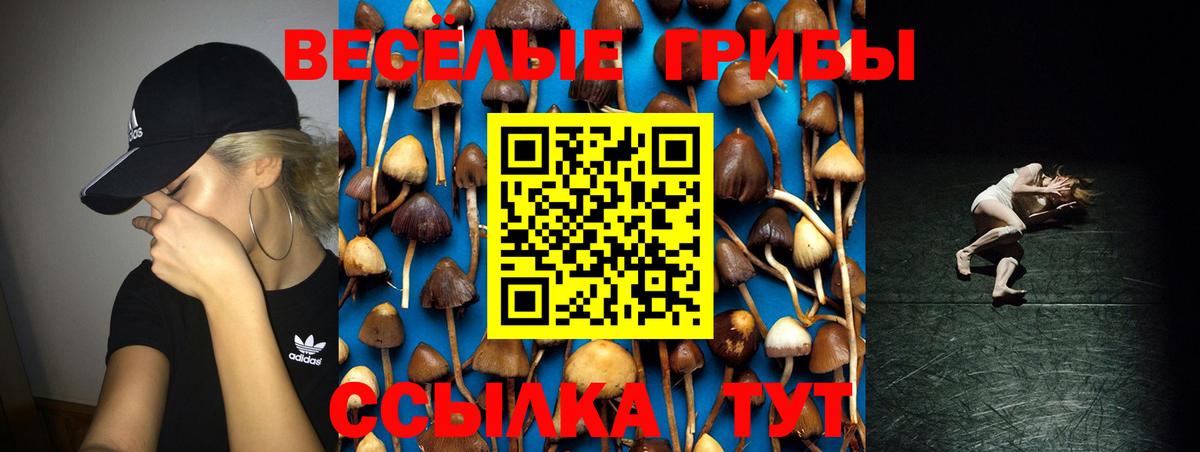 Галлюциногенные грибы мицелий Кашира